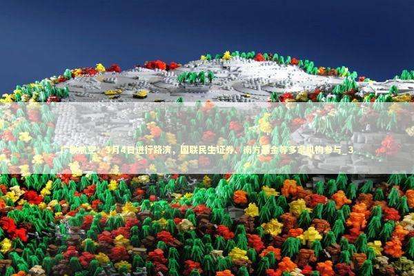 广联航空：3月4日进行路演，国联民生证券、南方基金等多家机构参与_3 新闻