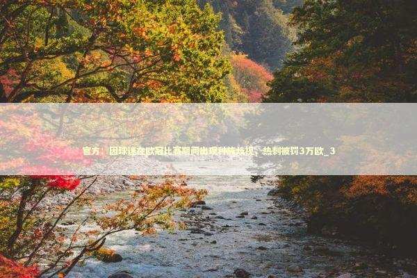 官方：因球迷在欧冠比赛期间出现种族歧视，热刺被罚3万欧_3 新闻