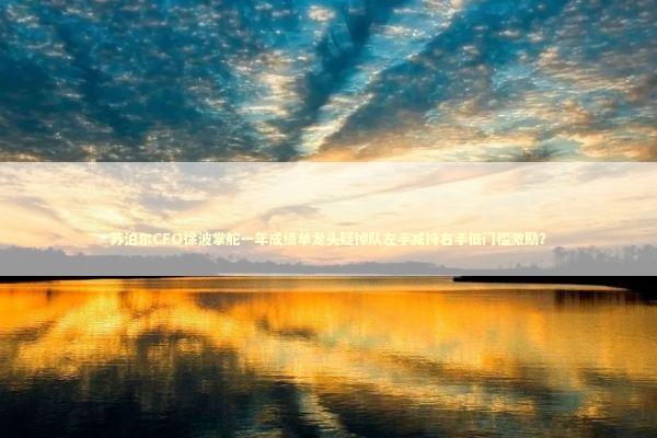 苏泊尔CFO徐波掌舵一年成绩单龙头疑掉队左手减持右手低门槛激励？