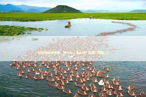 科技保险保障谁、保什么、怎么保？四部门明确_3 新闻