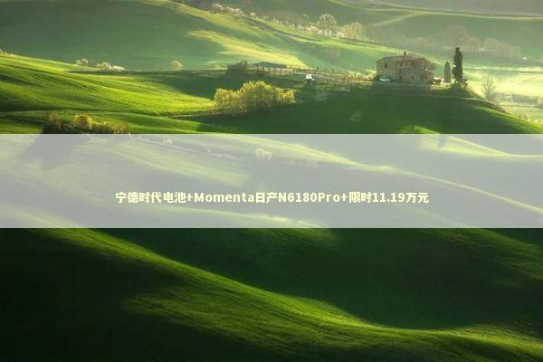 宁德时代电池+Momenta日产N6180Pro+限时11.19万元 新闻