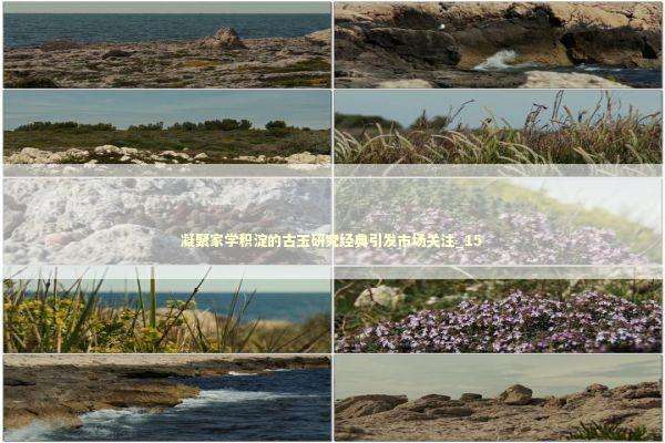 凝聚家学积淀的古玉研究经典引发市场关注_15 新闻