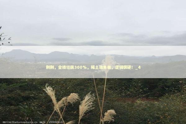 刚刚,业绩狂飙300%,稀土独角兽,逻辑很硬!_4 刚刚,业绩狂飙300%,稀土独角兽,逻辑很硬!_4 新闻