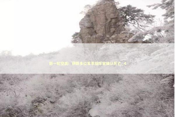 新一轮空袭!伊朗多位军事指挥官确认死亡_4 新一轮空袭!伊朗多位军事指挥官确认死亡_4 新闻