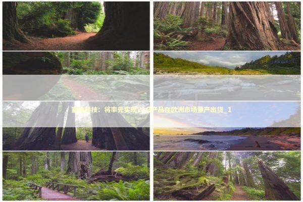 富特科技：将率先实现V2G产品在欧洲市场量产出货_1 新闻