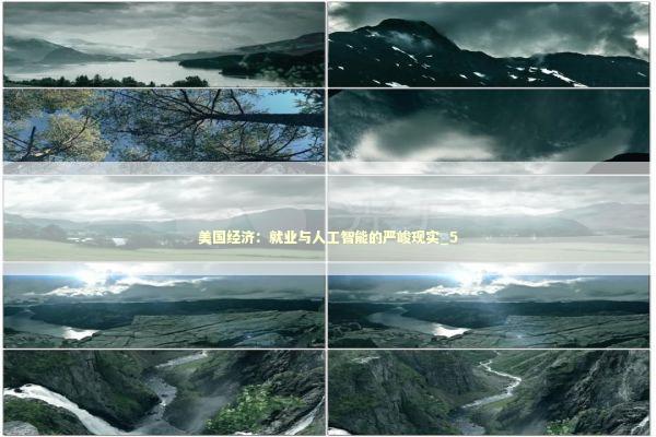 美国经济：就业与人工智能的严峻现实_5 新闻