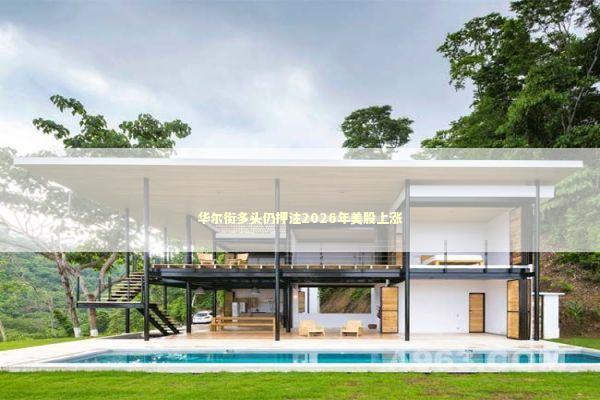 华尔街多头仍押注2026年美股上涨 新闻