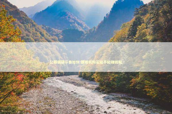 公募调研节奏加快 跟着机构买能不能赚钱呢 新闻