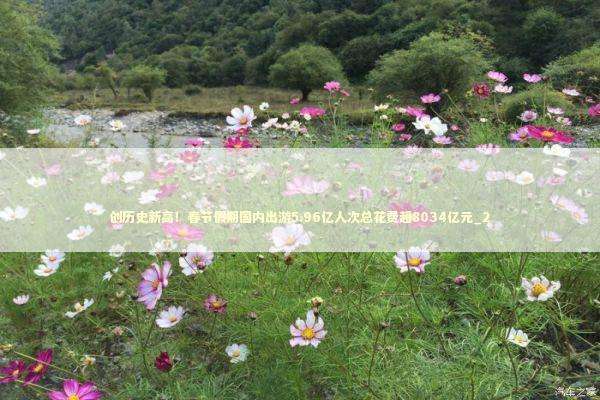 创历史新高！春节假期国内出游5.96亿人次总花费超8034亿元_2 新闻