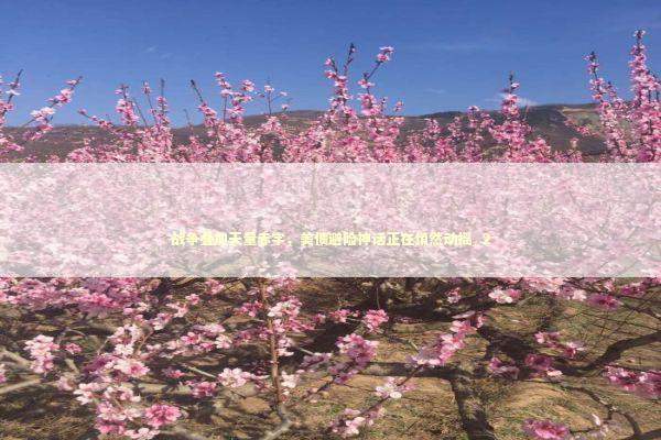 战争叠加天量赤字，美债避险神话正在悄然动摇_2 新闻