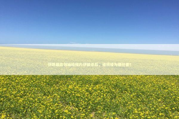 伊朗最高领袖哈梅内伊被杀后，谁将成为继任者？ 新闻