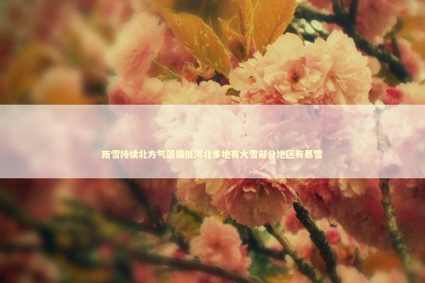 雨雪持续北方气温偏低河北多地有大雪部分地区有暴雪 新闻