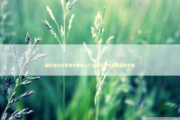 团队协作总觉得不够放心？试试这种加密聊天的思路 新闻