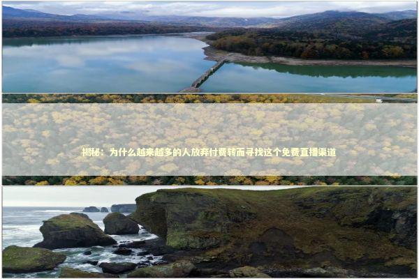 揭秘：为什么越来越多的人放弃付费转而寻找这个免费直播渠道 体育新闻