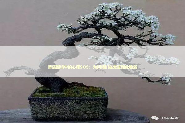 情感困境中的心理SOS：为何我们在爱里如此脆弱 情感心理