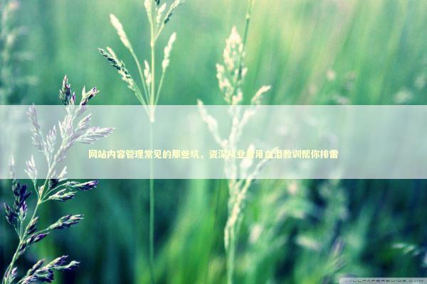 网站内容管理常见的那些坑，资深从业者用血泪教训帮你排雷 IT技术