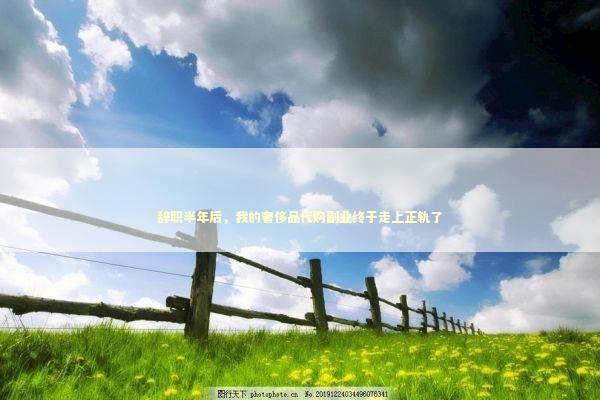 辞职半年后，我的奢侈品代购副业终于走上正轨了 企业服务