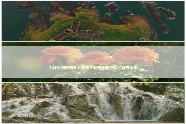 为什么越来越多人选择下载安全防护软件官方版本 IT技术